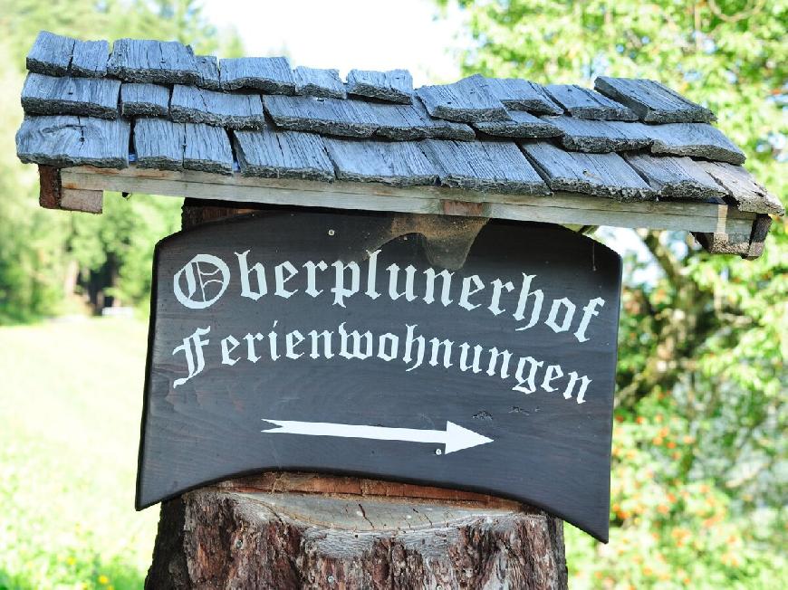 Oberplunerhof - Ferienwohnung Kronplatz