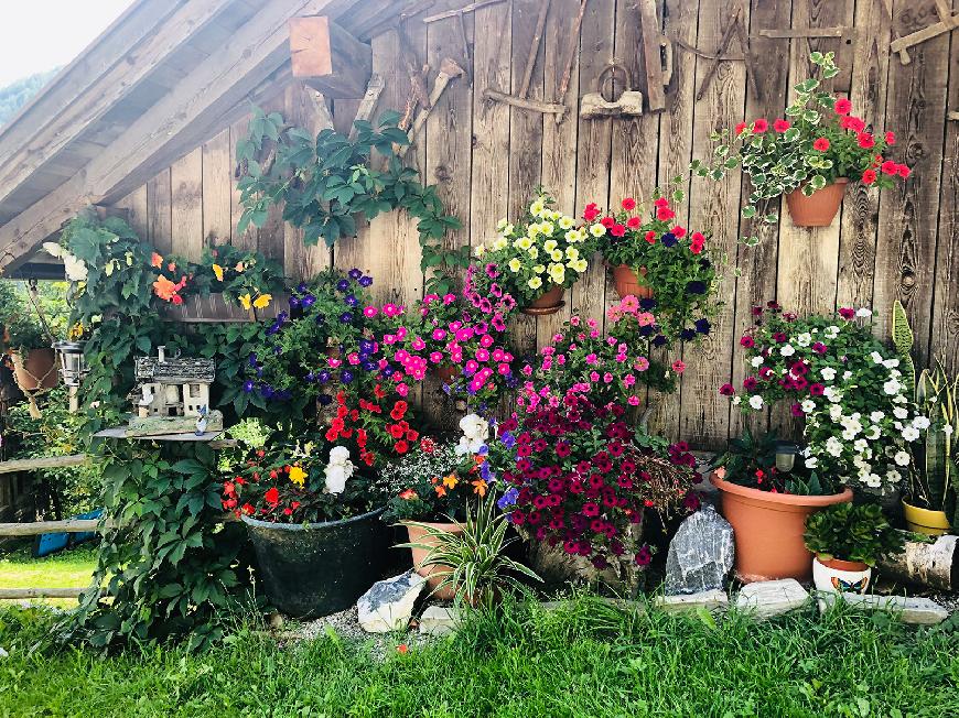 Ferienwohnung  1 auf dem Bauernhof - Flatscherhof