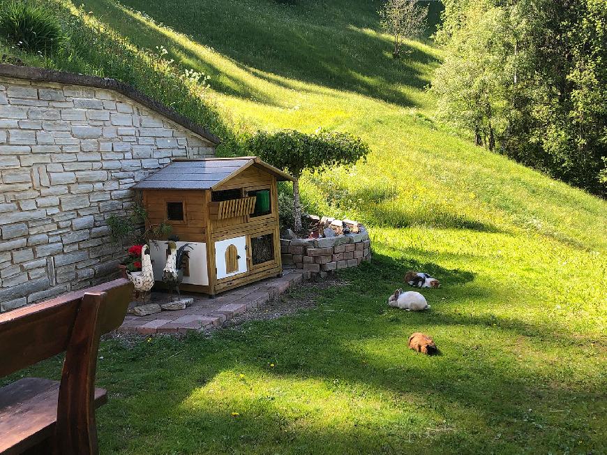 Ferienwohnung  1 auf dem Bauernhof - Flatscherhof