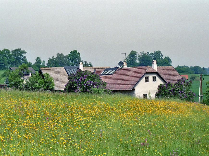 Ferienhaus WALD-LAND-HOF in Schloss Rosenau