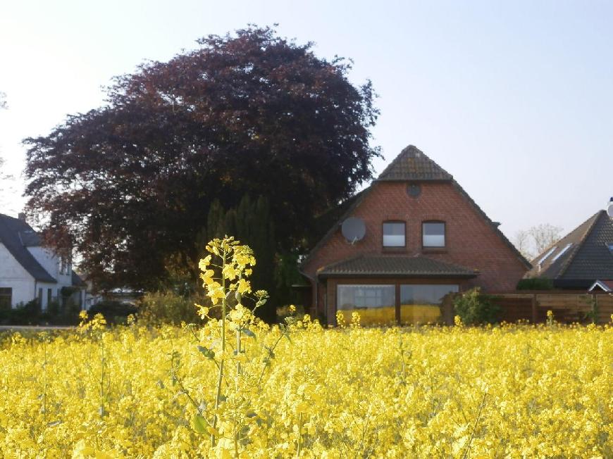 Ferienwohnung Feldblick in Hasselberg