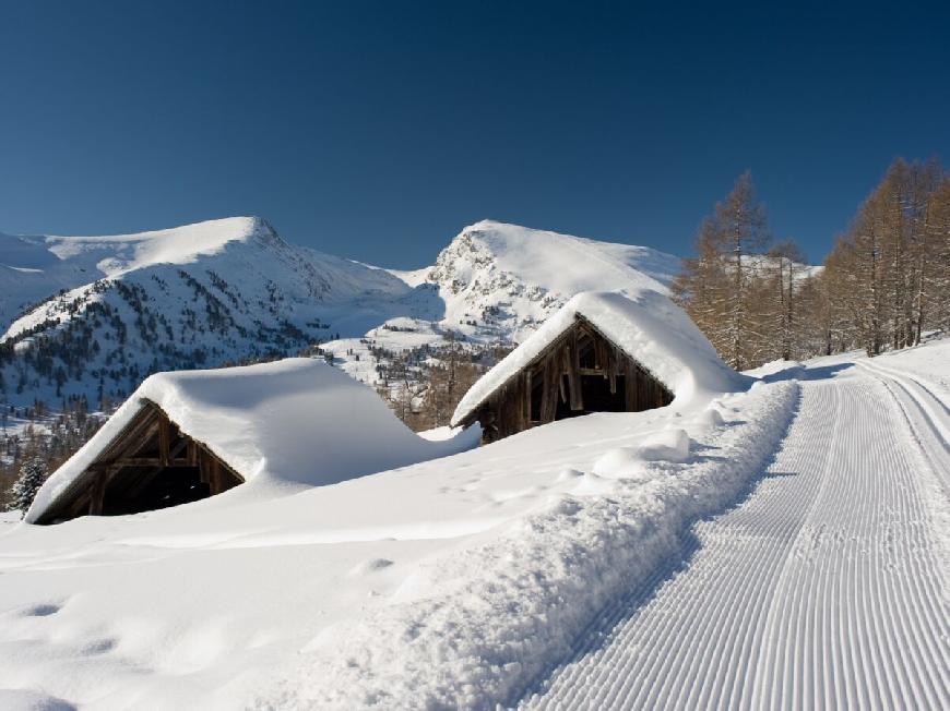 Chalet Almsommer Heidi Chalets Falkertsee