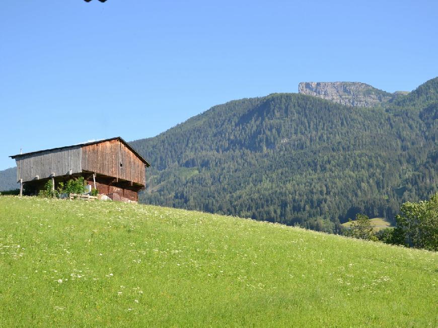 Ferienwohnung Buche im Haus Gatterland