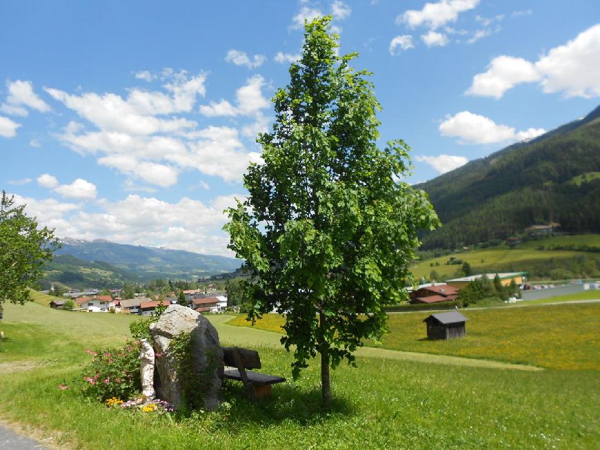 Ferienwohnung Bauernhof Obererlach