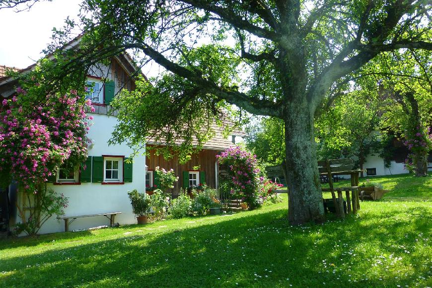 Ferienwohnung Kuschelnest in Kirchberg an der Raab