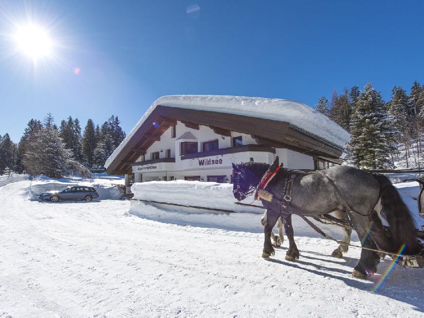 Ferienwohnung 3-Raum Appartement TIROL