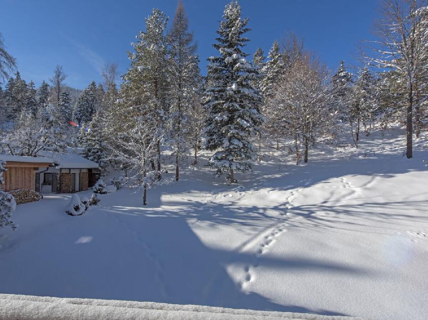 Ferienwohnung 3-Raum Appartement TIROL