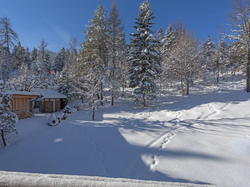 Ferienwohnung 3-Raum Appartement TIROL