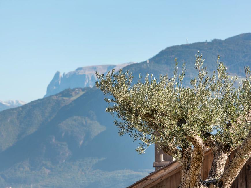 Nofnerhof FW Schloss Englar  in Eppan