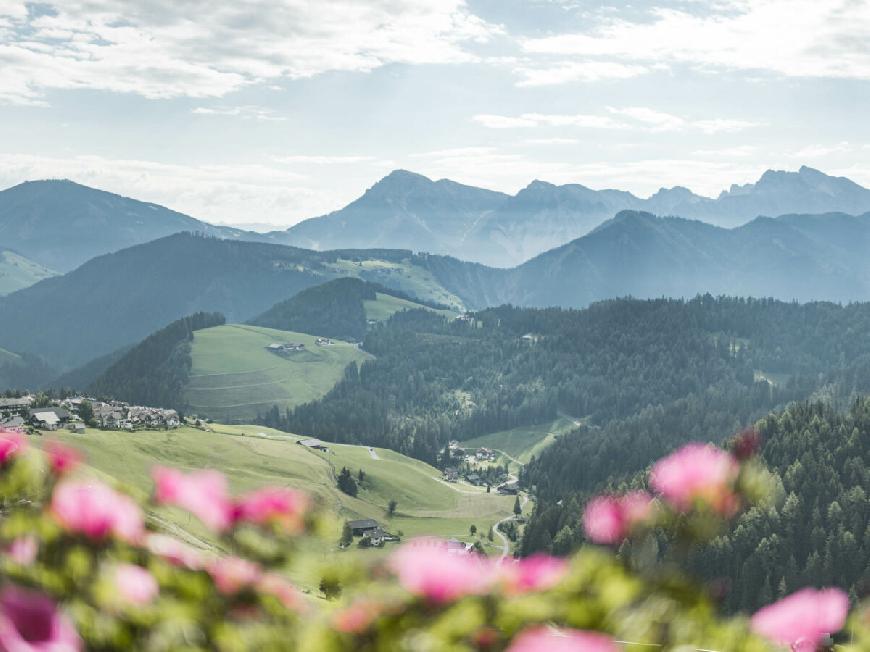 Fornellahof La Majun Ferienwohnung Un