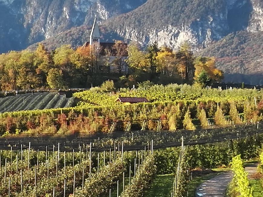 Apartment Merlot in Kurtatsch